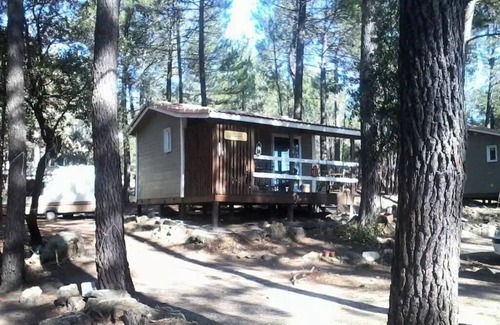 Bollene Chalet De Esquí | Campsite La Simioune* - Chalet LAVENDER - 2 bedrooms (2 adults maximum and 2 children under 12 years old) - Small Budget 2 to 4 people - 2 people. included in the