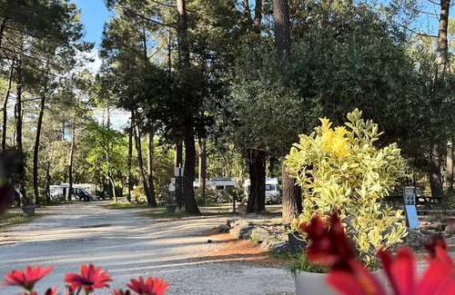 Bollene Chalet De Esquí | Campsite La Simioune* - Chalet LAVENDER - 2 bedrooms (2 adults maximum and 2 children under 12 years old) - Small Budget 2 to 4 people - 2 people. included in the