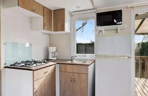 Albaron Casa | Campsite Le Crin Blanc *** - Mobile Home Classic 4 Rooms 6 People Air Conditioned
