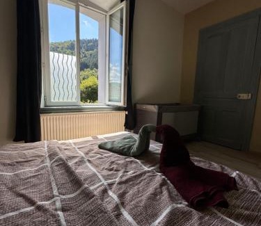 Granges-Aumontzey Apartamento | CAN appart spacieux avec grand jardin et terrasse 1 à 8 pers