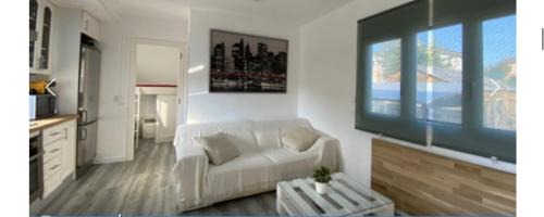 Sils Casa | Can dennis