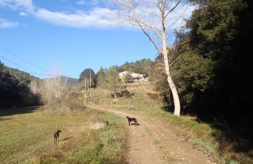 Sant Pere de Vilamajor Apartamento | Can Parròquia