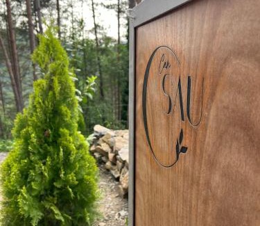 Sant Joan de Les Abadesses Casa | Can Sau