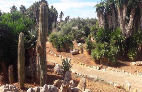 Ses Salines Villa | Can Xesquet - Villa With Private Pool. Free Wifi