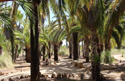 Ses Salines Villa | Can Xesquet - Villa With Private Pool. Free Wifi