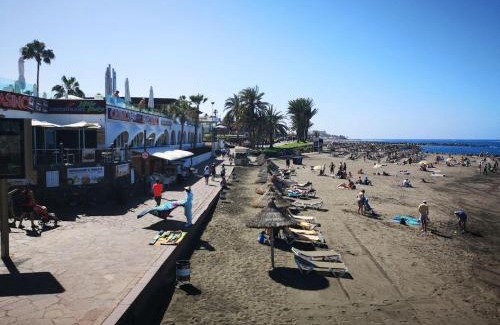 El Madronal Apartamento | Canarian village house