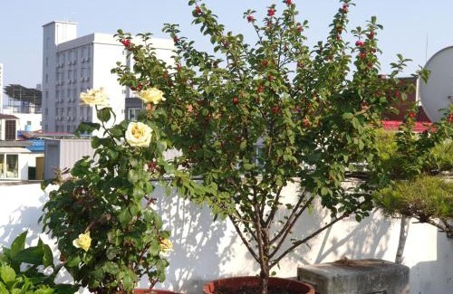 Haga-ri Casa | Cancan Guesthouse