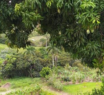 Constanza Chalet De Esquí | Cancelar