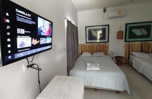 Alfredo V. Bonfil Apartamento | Cancun Blue Airport
