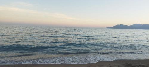 Cannes La Bocca Casa | Cannes Sea View, by Beach, Private Room in Shared 3-Bedroom Apartment, Private Bathroom & Balcony, Chambre avec salle de bain privative & balcon, chez l'habitant
