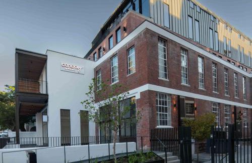 Cape Town City Centre Hotel | Canopy By Hilton Cape Town Longkloof