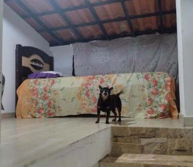 Boca do Rio Casa | Cantinho da Dete KIT NET