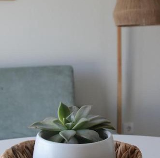 Livramento Apartamento | Cantinho do Pópulo
