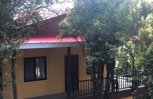 Quebrada Grande Casa | Cantos del Bosque 2!