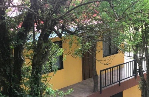 Quebrada Grande Casa | Cantos del Bosque 2!