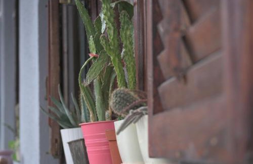 Dolna Matka Apartamento | Canyon Matka Nature Apartments with a terrace