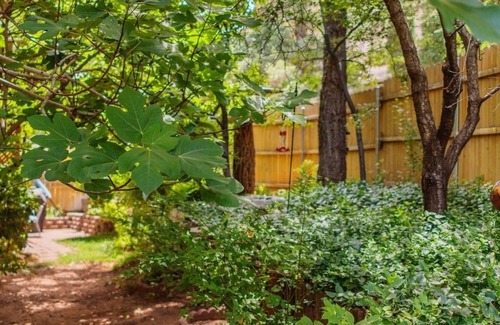 Sedona Cabina | Canyon Wren Honeysuckle 1 Bedroom Cabin by RedAwning