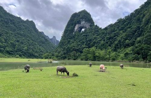 Tra Linh Cama Y Desayuno | Cao Bang Loop Homestay - Camping & Daily Trekking Tour