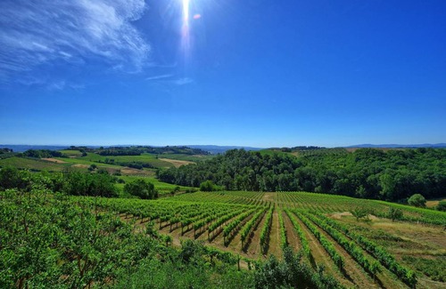 San Gimignano Apartamento | 65 m² Apartamento ∙ 2 habitaciones ∙ 4 personas