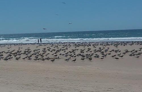 Charneca de Caparica e Sobreda Casa | Caparica Holidays