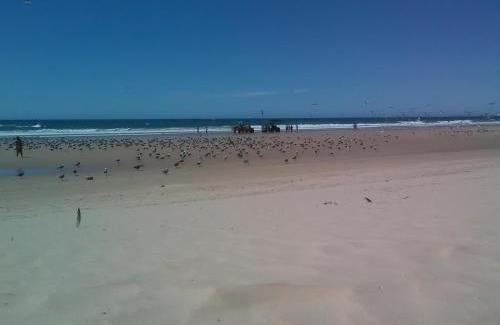 Charneca de Caparica e Sobreda Casa | Caparica Holidays