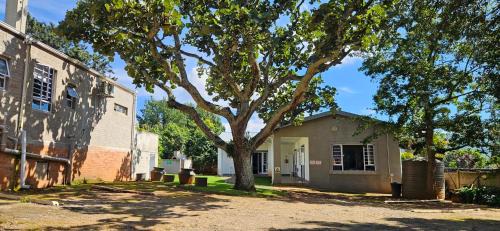 Greytown Casa | Cape Robin Guesthouse