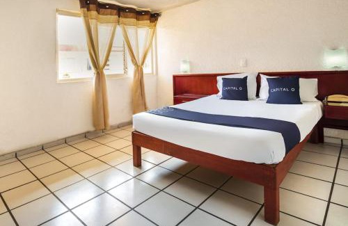 Ciudad Guzmán Hotel | Capital O Colón, Ciudad Guzmán Jalisco