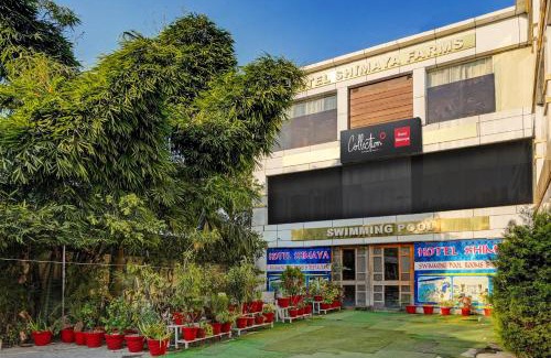 Dehradun Hotel | Capital O Shimaya
