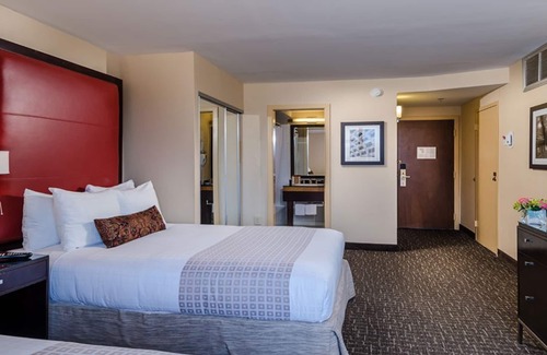 Dupont Circle Hotel | Capital Vacay! 3 Executive Units, Short Drive to Smithsonian Museums and Zoo