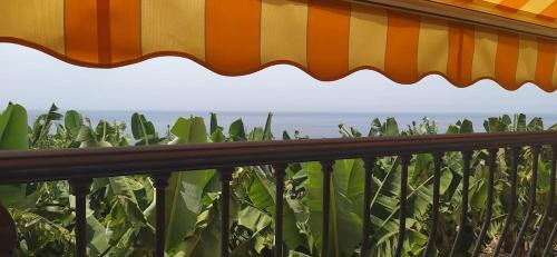 Tazacorte Apartamento | Caracol Trail Mountain La Palma - junto a Trbol