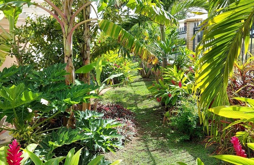 Basse-Pointe Apartamento | CARAMBOLE Country property