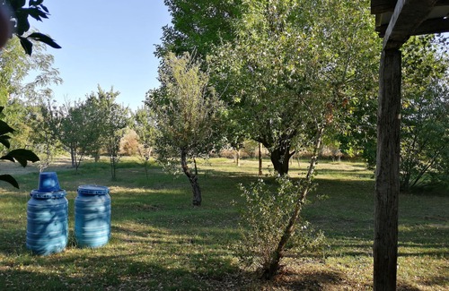 Zaragoza Casa | Caravana en mi jardín