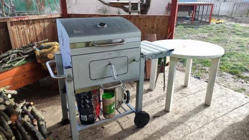 Mocenok Otro | Caravan in the backyard