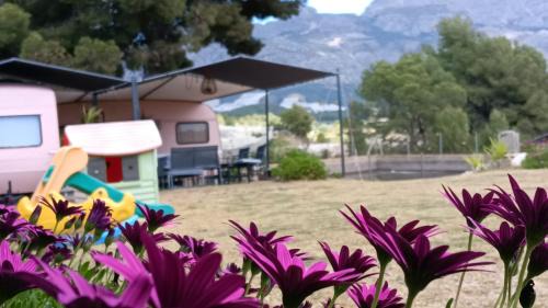 La Nucia Casa | Caravana- Glamping Casa tortuga