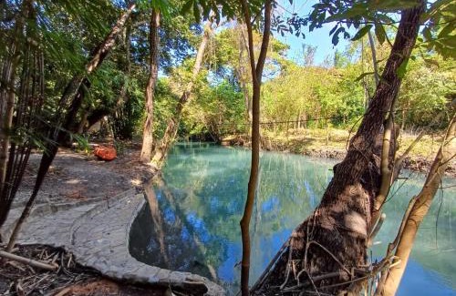 La Huasteca Otro | Caravana junto al río en la huasteca potosina