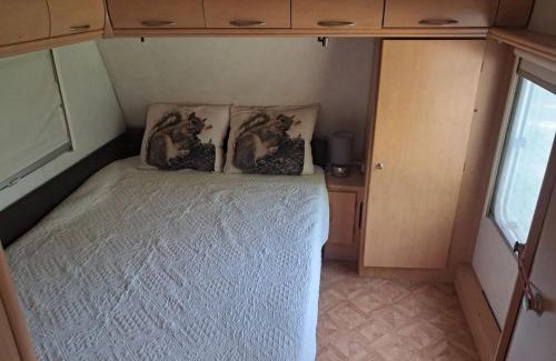 Lagny-sur-Marne Otro | Caravane chez l'habitant proche Disneyland Paris