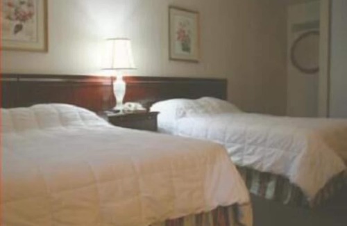 San Jose Hotel | Caravelle Inn Extended Stay