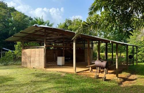 Roura Casa | Carbet Jaguar