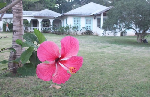 Mammee Bay Estates Villa | Villa Caribbean Dawn - Alta calidad bajo precio