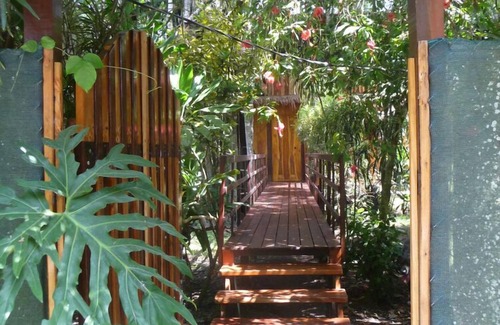 Cahuita Casa | Caribe Casa en el árbol de la selva