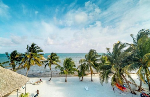 San Pedro Hotel | Caribbean Lily @ Caribe Island