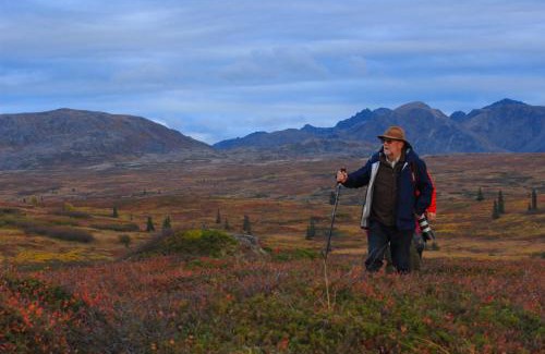 Susitna North Cabina | Caribou Lodge Alaska