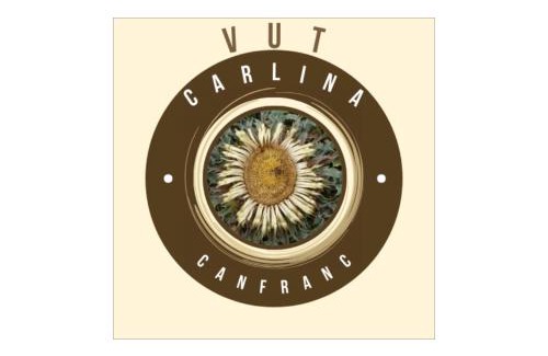 Canfranc-Estacion Apartamento | Carlina Canfranc