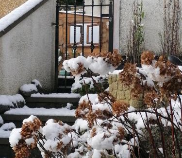Carlingford Apartamento | Carlingford Mountain and Sea Views
