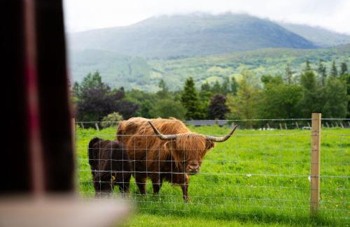 Fort William Casa | Carn Mor Dearg Pod