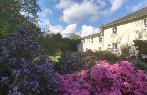 Broughshane Casa | Carncairn