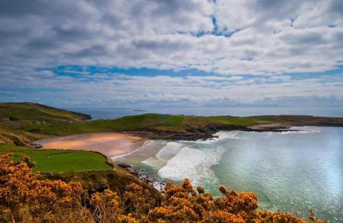 Carrick Apartamento | Carol's Cottage (Studio Apt) - Wild Atlantic Way