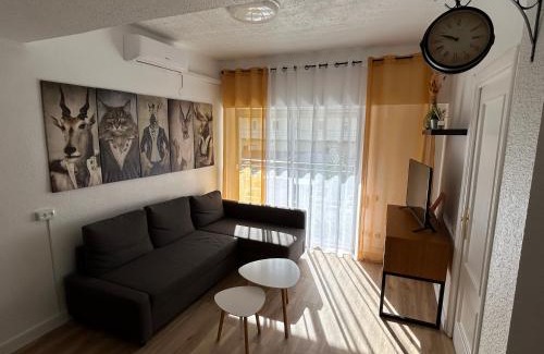 Daimuz Apartamento | CARPE DIEM DAIMUS
