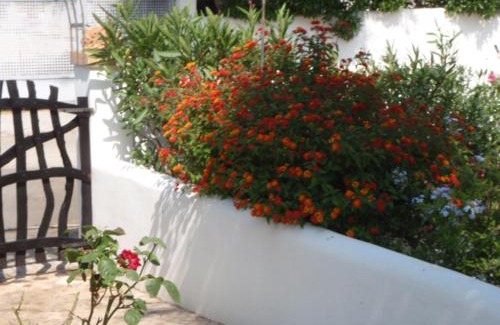 Campos Casa | carpe Diem