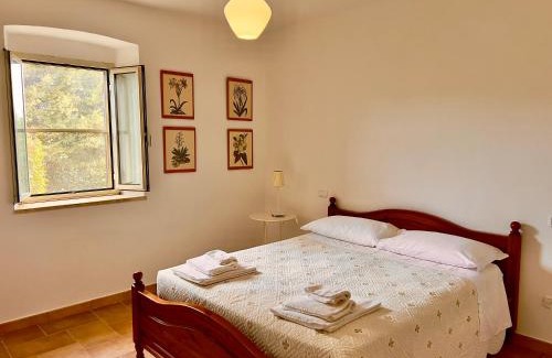 Grosseto Apartamento | Carpine Agriturismo Bio in Maremma